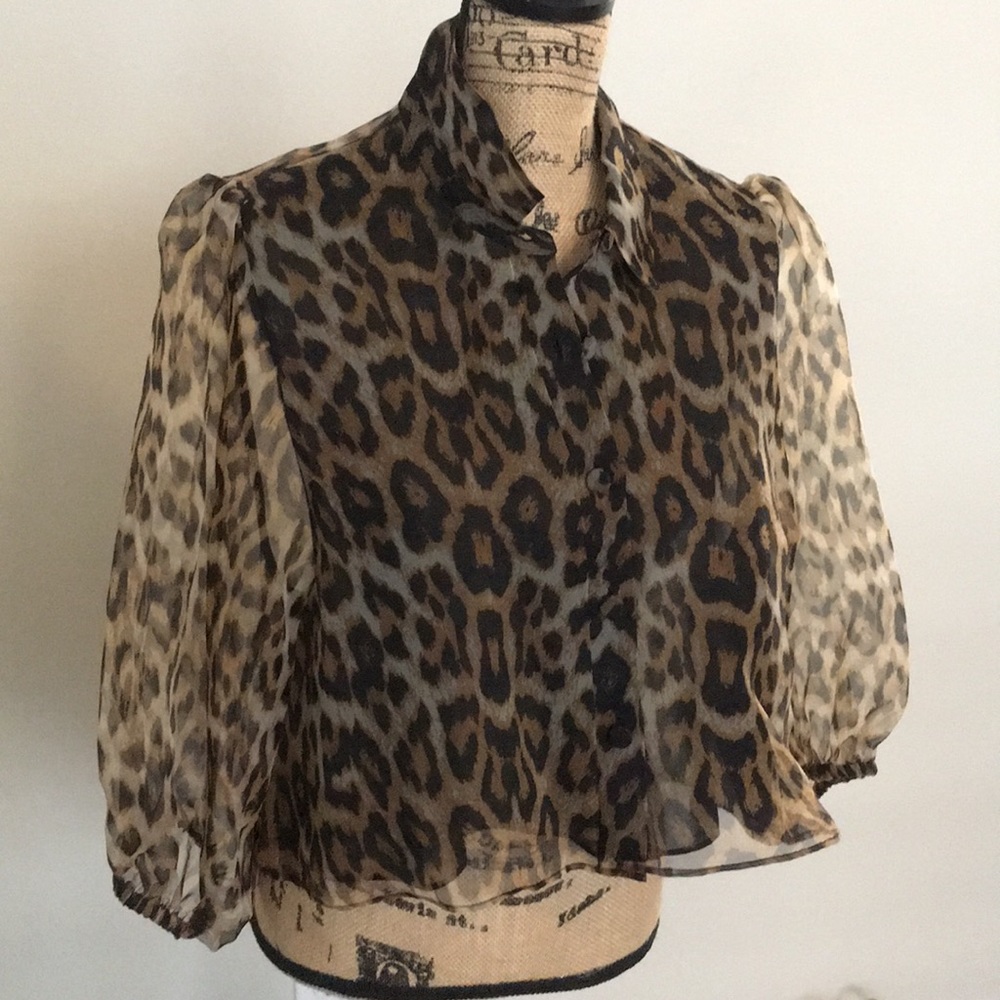 Zara organza wood print blouse